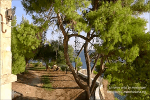 Koroni: Eleistria Park 360°-Panorama - Small
