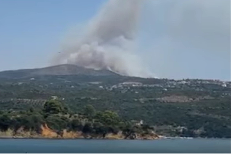 Fire in Akritochori - July 2022