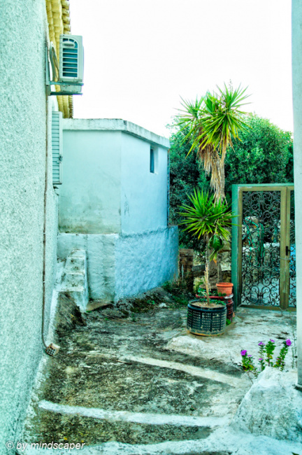 Small Alley with Palms - Vasilitsi